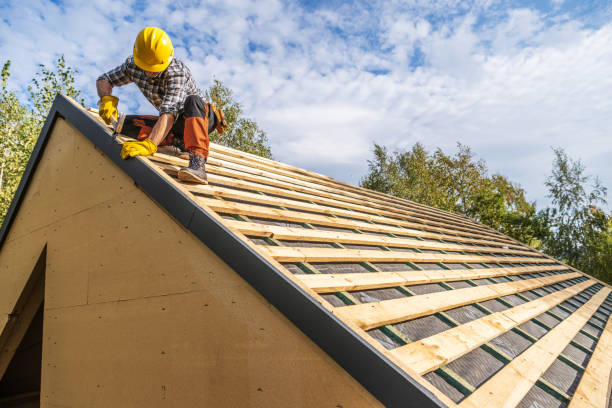 Best Metal Roofing Contractor  in Bardstown, KY